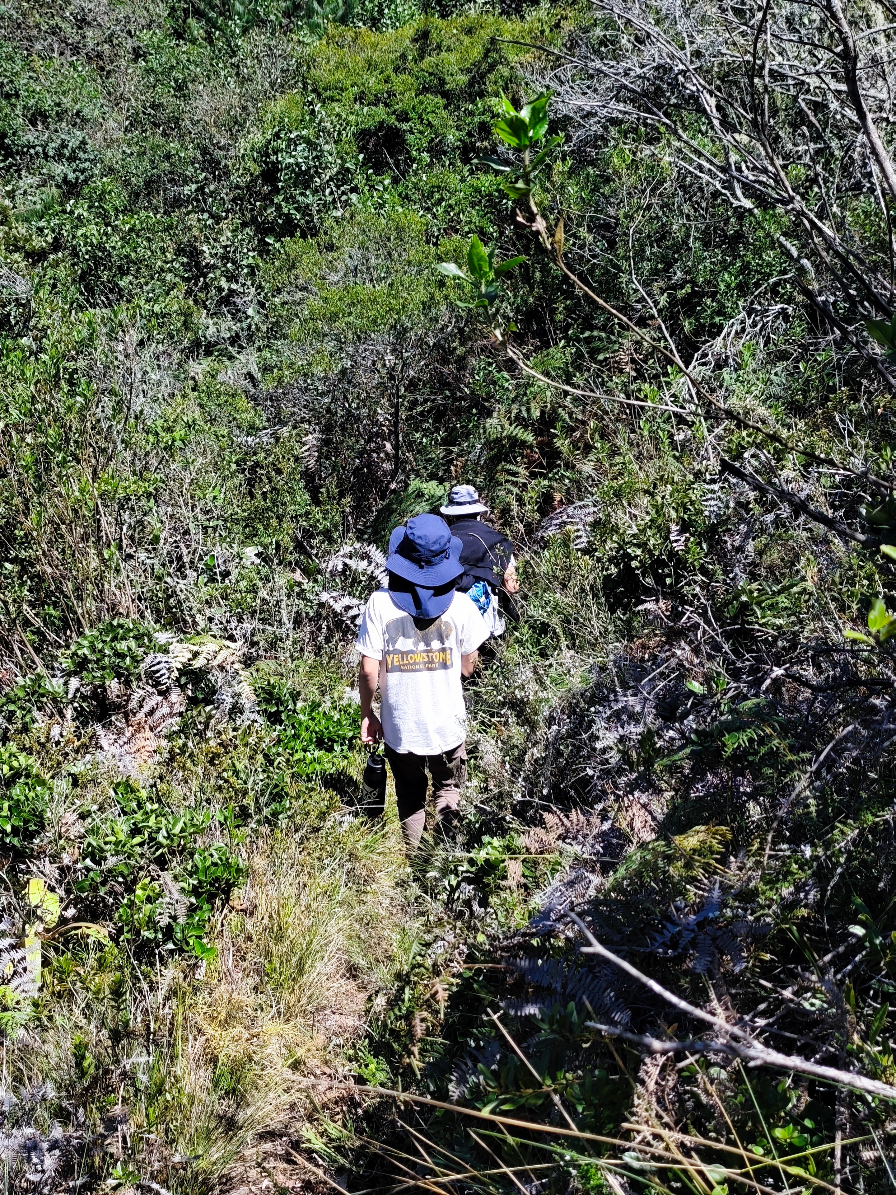 Vivir la montaña
